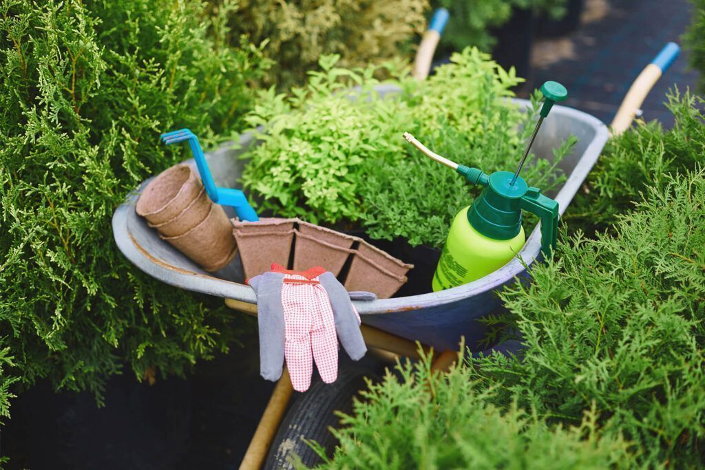gardening set PBQGJCD