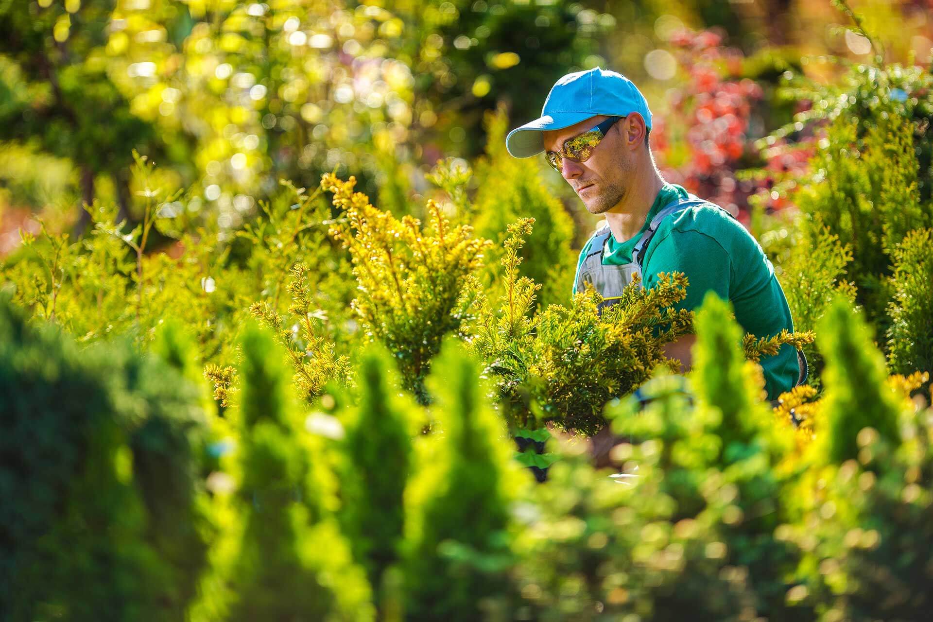 pro gardener in the garden ZWSG2CJ